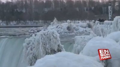 Niagara Şelalesi buzla kaplandı