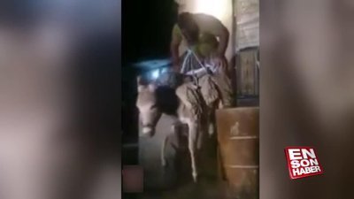 Ağzıyla eşek kaldıran adam