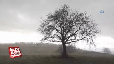 Almanya'da kasırga alarmı 