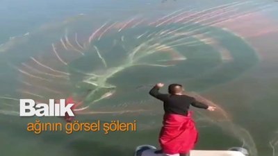 Balık ağının görsel şöleni