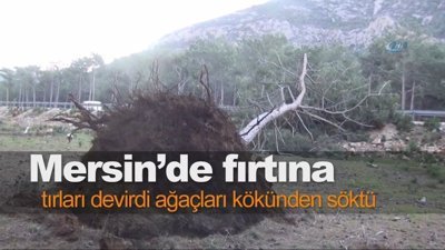 Mersin’de fırtına tırları devirdi ağaçları kökünden söktü