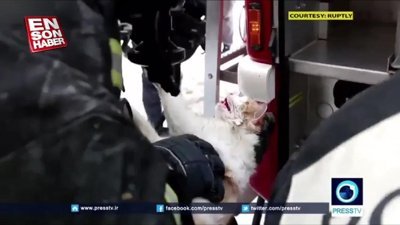 Kediyi kalp masajıyla hayata döndüren itfaiye ekibi