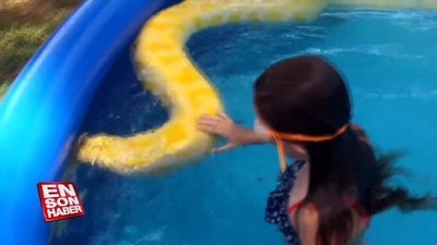 Havuzda pitonla yüzen kız