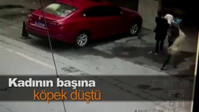 Kadının başına köpek düştü