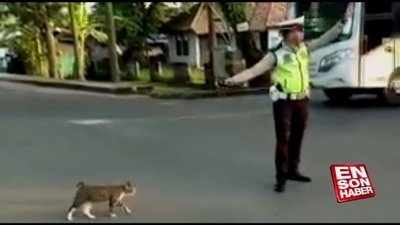 Dünya dönüyorsa böyle güzel insanların hatırına dönüyor