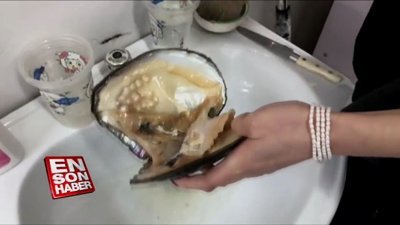 İçi inci dolu devasa istiridye