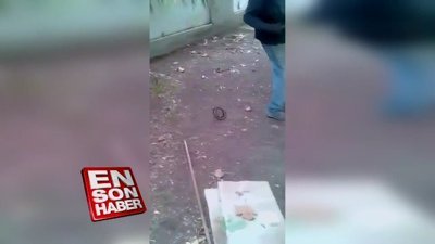 Yılan şakası yapılan adamın ömründen ömür gittiği anlar