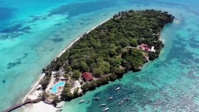 Dev kaplumbağaların yuvası: Changuu Adası