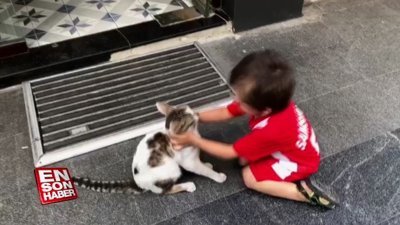 Sevimli ufaklığın kedi sevgisi