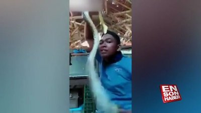 Video çekerken yılan ısırdı