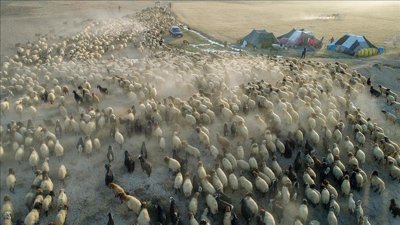 Göçerlerin dönüş yolculuğu başladı