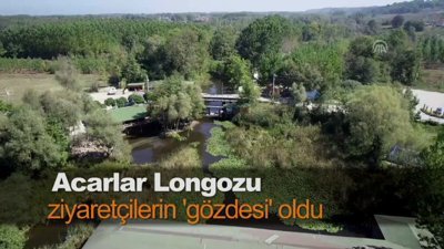 Acarlar Longozu ziyaretçilerin 'gözdesi' oldu