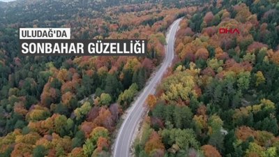 Uludağ'da sonbahar güzelliği