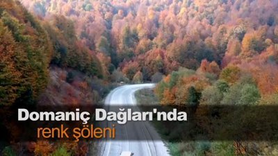 Domaniç Dağları'nda renk şöleni