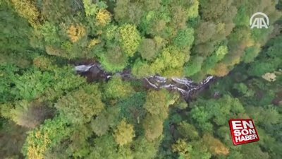Batı Karadeniz yaylalarında ‘hüzünlü güz’ vedası