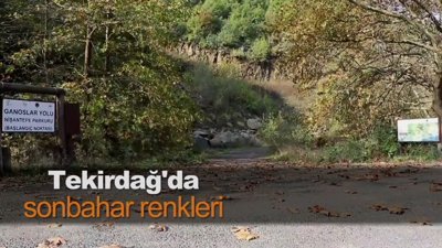Tekirdağ'da sonbahar renkleri