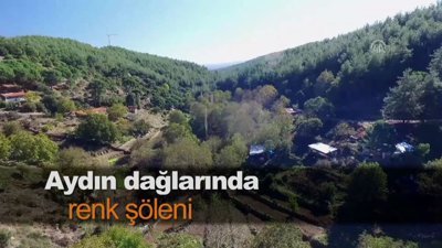 Aydın dağlarında renk şöleni