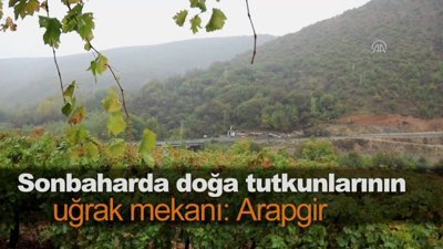 Sonbaharda doğa tutkunlarının uğrak mekanı: Arapgir