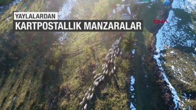 Yaylalardan kartpostallık manzaralar