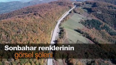 Sonbahar renklerinin görsel şöleni