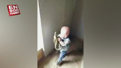 Yılanları oyuncak sanan ufaklık