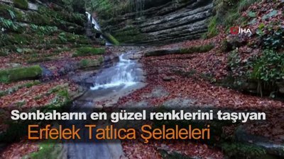 Sonbaharın en güzel renklerini taşıyan Erfelek Tatlıca Şelaleleri