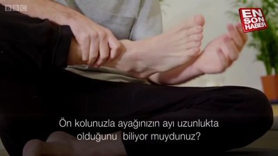 Bedenlerimizdeki şaşırtıcı simetri ve oranlar