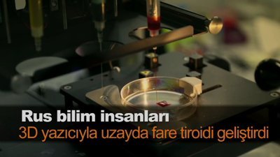 Rus bilim insanları 3D yazıcıyla uzayda fare tiroidi geliştirdi