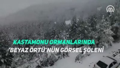 Kastamonu ormanlarında ‘beyaz örtü’nün görsel şöleni