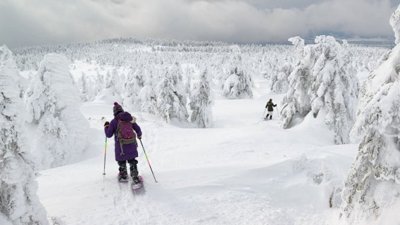 Uzak Doğu’nun kayak fenomeni: Tohoku 