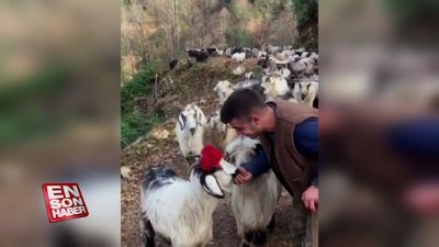 Rizeli çobandan türkü performansı