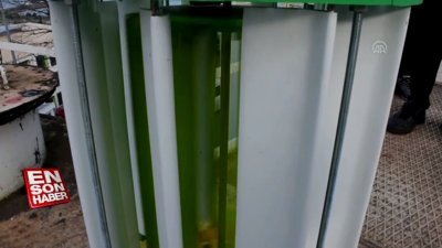 KTÜ'de rüzgar enerjisiyle elektrik üretilecek