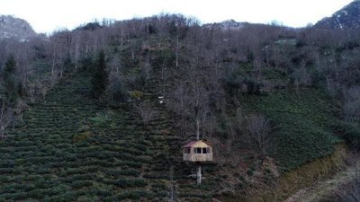 Karadenizlinin ağaç kondu evine ilgi