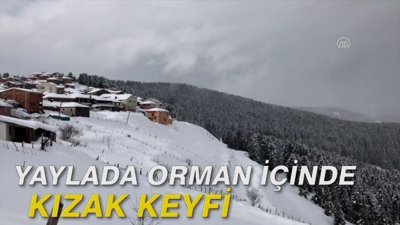 Yaylada orman içinde kızak keyfi