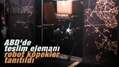 ABD'de teslim elemanı robot köpekler tanıtıldı