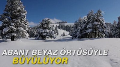 Abant beyaz örtüsüyle büyülüyor