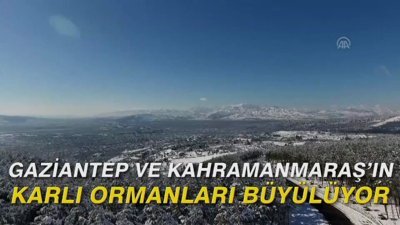 Gaziantep ve Kahramanmaraş'ın karlı ormanları büyülüyor