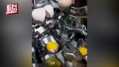 Yumurta kırma ve akından ayırma makinesi