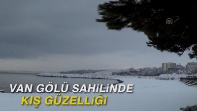 Van Gölü sahilinde kış güzelliği