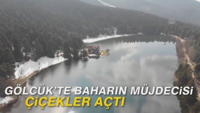Gölcük'te baharın müjdecisi çiçekler açtı