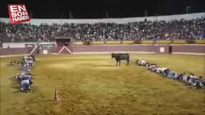 Boğalar göz hizalarının altını göremiyor