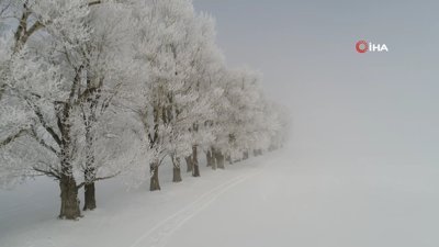 Erzurum'da kırağı sonrası eşsiz manzara