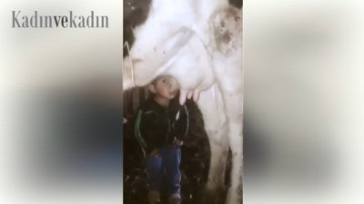 İneğin memesinden süt içen çocuk