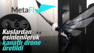 Kuşlardan esinlenilerek kanatlı drone üretildi
