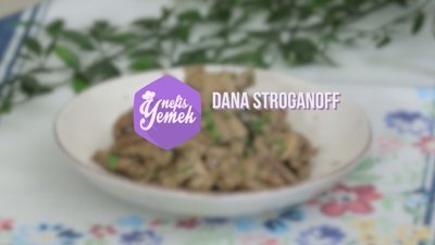 Dana Stroganoff Tarifi
