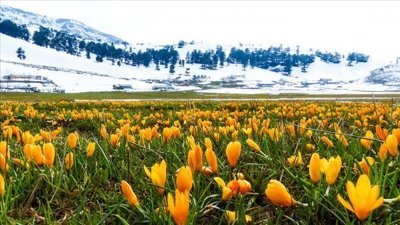 Karların erimesiyle doğal güzellikler ortaya çıktı