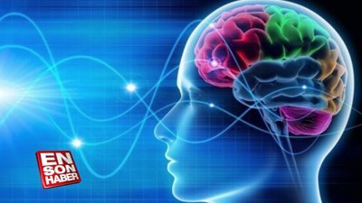 Bir hastanın beyin sinyallerinden elde edilen konuşma