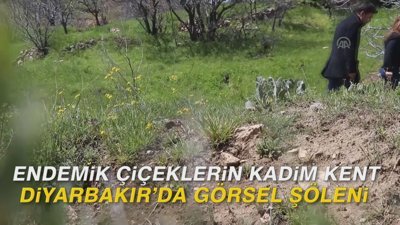 Endemik çiçeklerin kadim kent Diyarbakır'da görsel şöleni