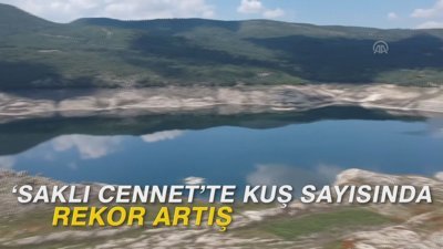 'Saklı cennet'te kuş sayısında rekor artış 