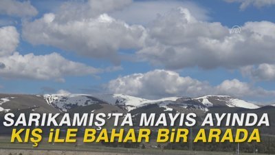 Sarıkamış’ta mayıs ayında kış ile bahar bir arada